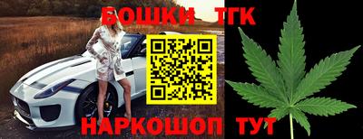прущие крисы Нальчик